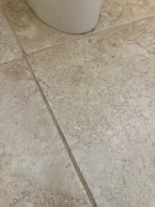 Deep-cleaned ceramic floor tile and grout restoration by Arizona Tile & Grout Care in Tucson.